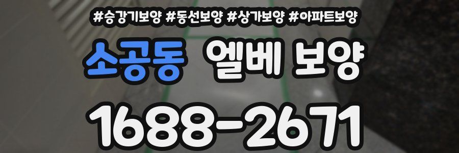 소공동 엘베 보양