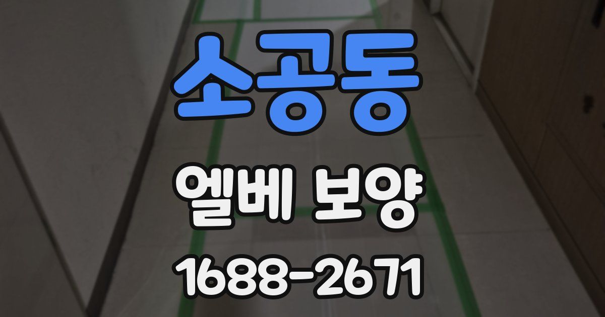 소공동 엘베 보양