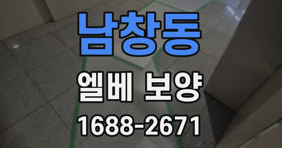 남창동 엘베 보양