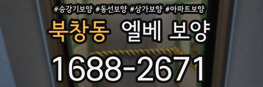 북창동 엘베 보양