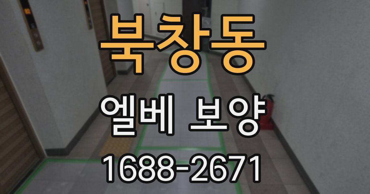 북창동 엘베 보양