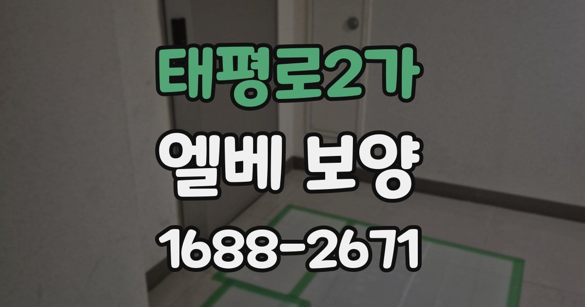 태평로2가 엘베 보양