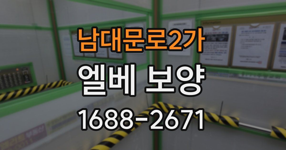 남대문로2가 엘베 보양