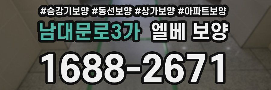 남대문로3가 엘베 보양