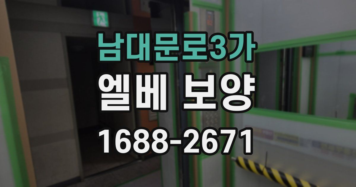 남대문로3가 엘베 보양