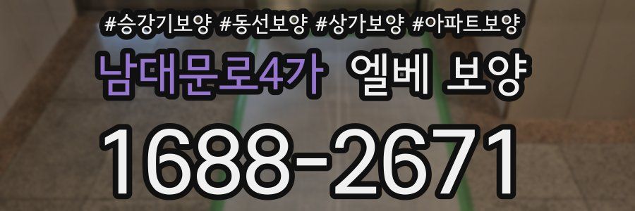 남대문로4가 엘베 보양