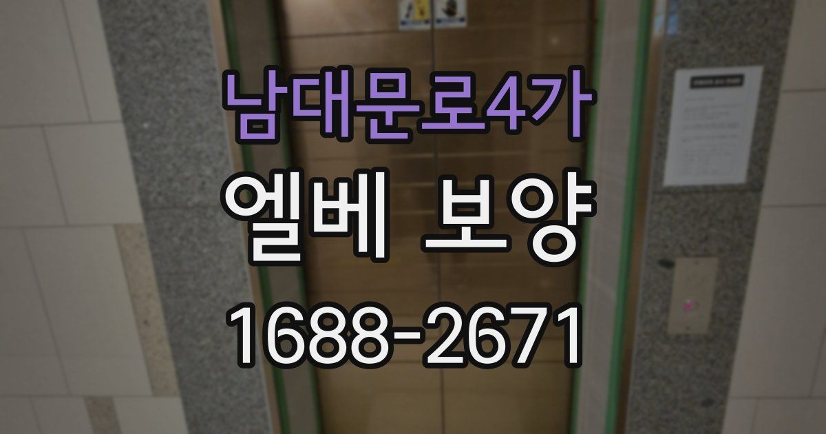 남대문로4가 엘베 보양