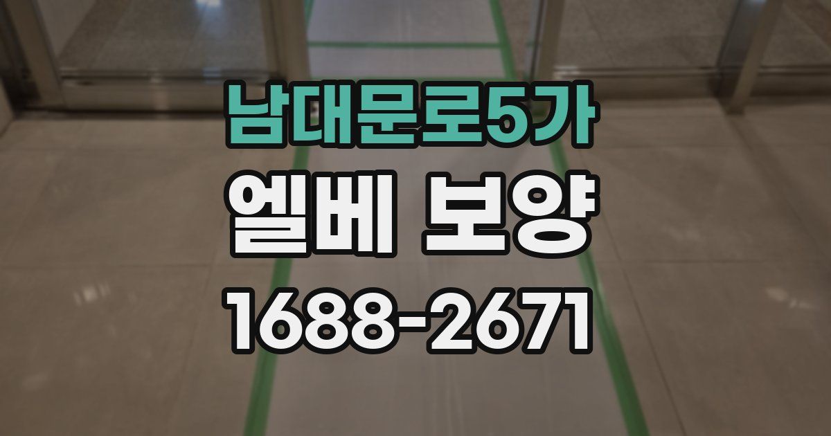남대문로5가 엘베 보양