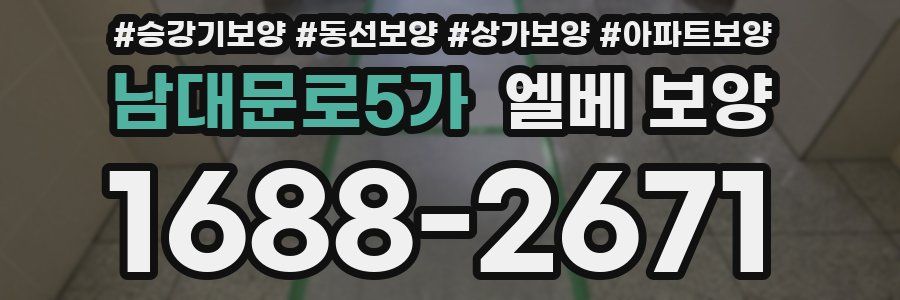 남대문로5가 엘베 보양