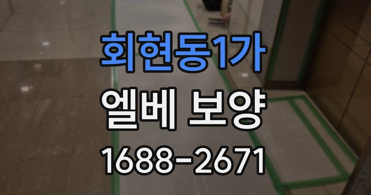 회현동1가 엘베 보양