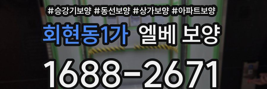 회현동1가 엘베 보양