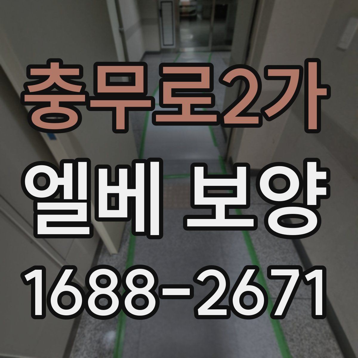 충무로2가 엘베 보양 유리 패널 있는 승강기에서 볼 점검 항목