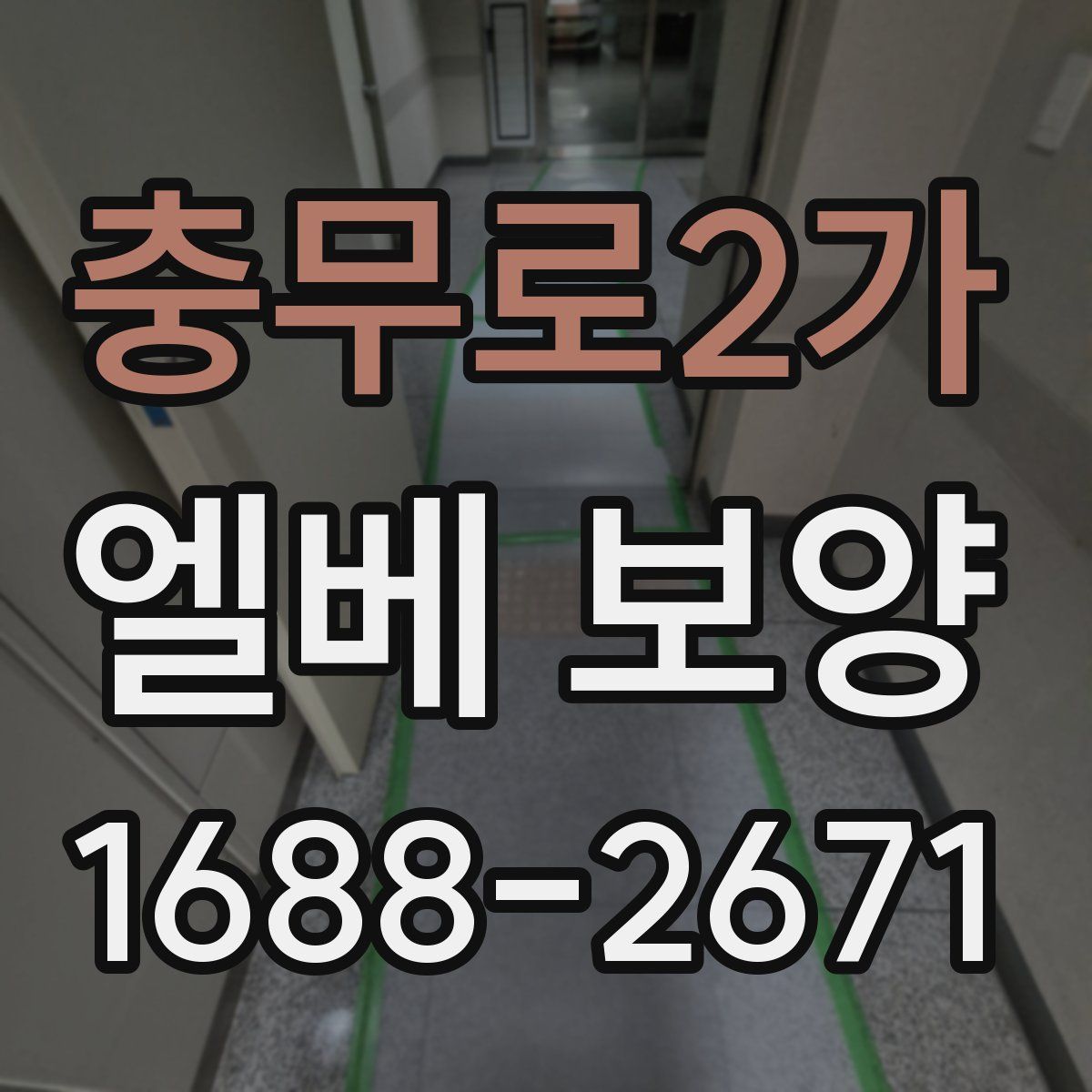 충무로2가 엘베 보양