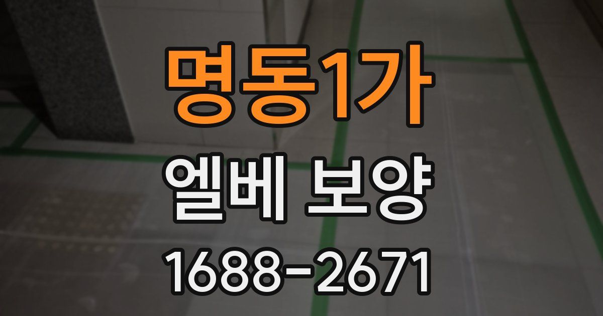 명동1가 엘베 보양