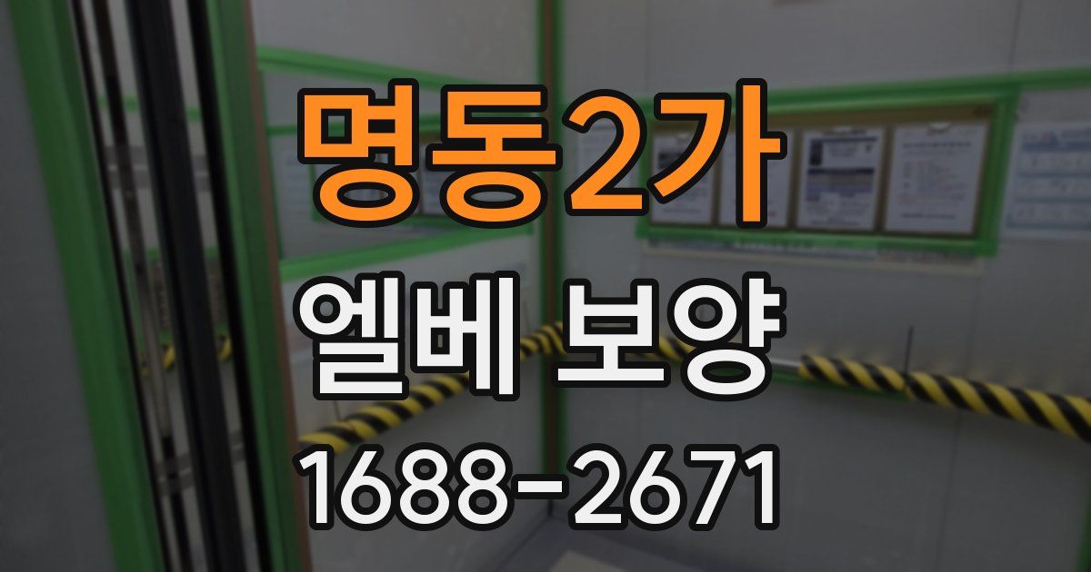 명동2가 엘베 보양