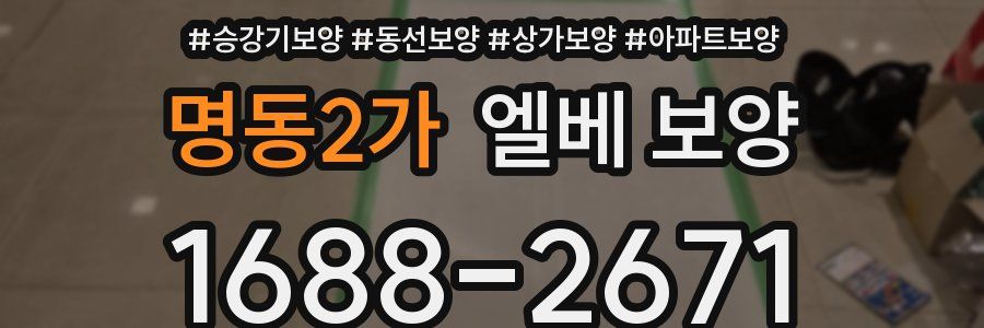 명동2가 엘베 보양