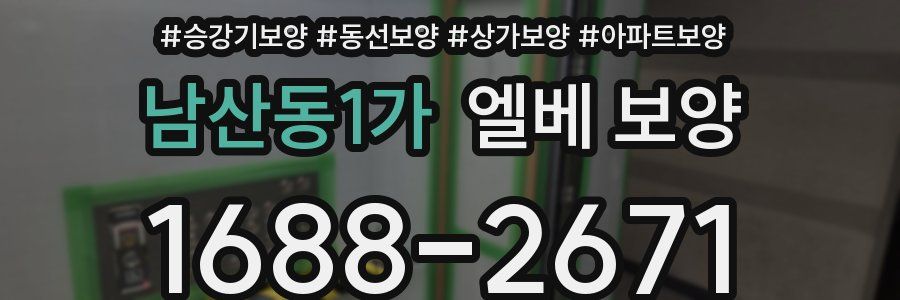 남산동1가 엘베 보양