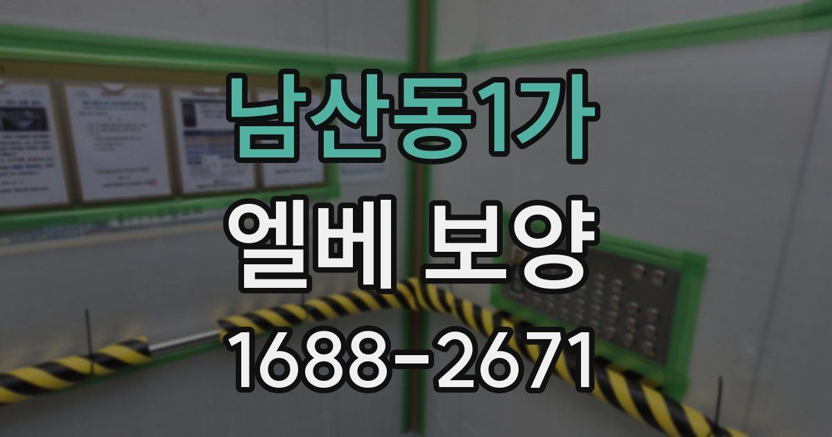 남산동1가 엘베 보양