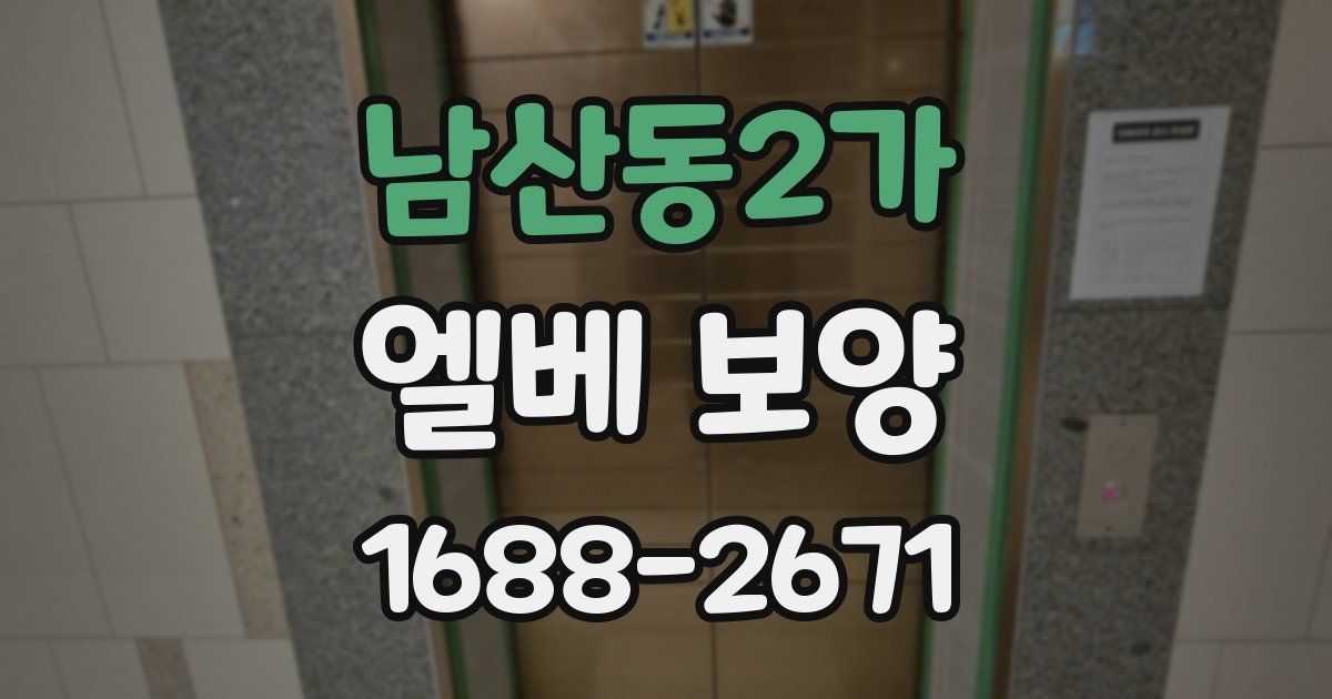 남산동2가 엘베 보양