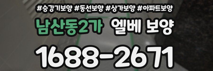 남산동2가 엘베 보양
