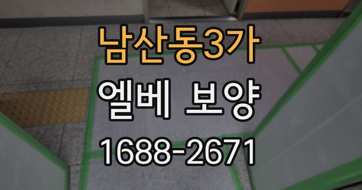 남산동3가 엘베 보양