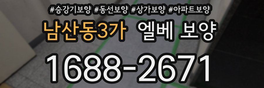 남산동3가 엘베 보양
