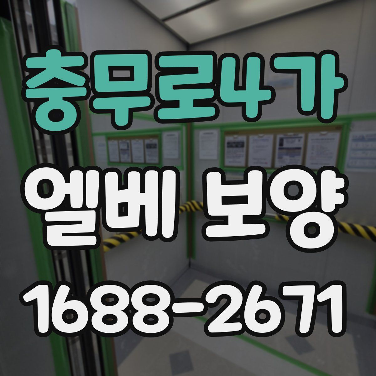 충무로4가 엘베 보양