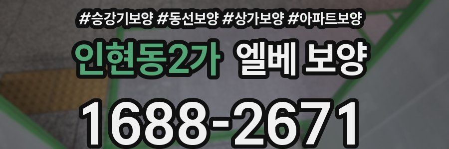 인현동2가 엘베 보양