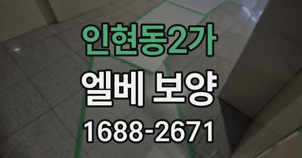 인현동2가 엘베 보양