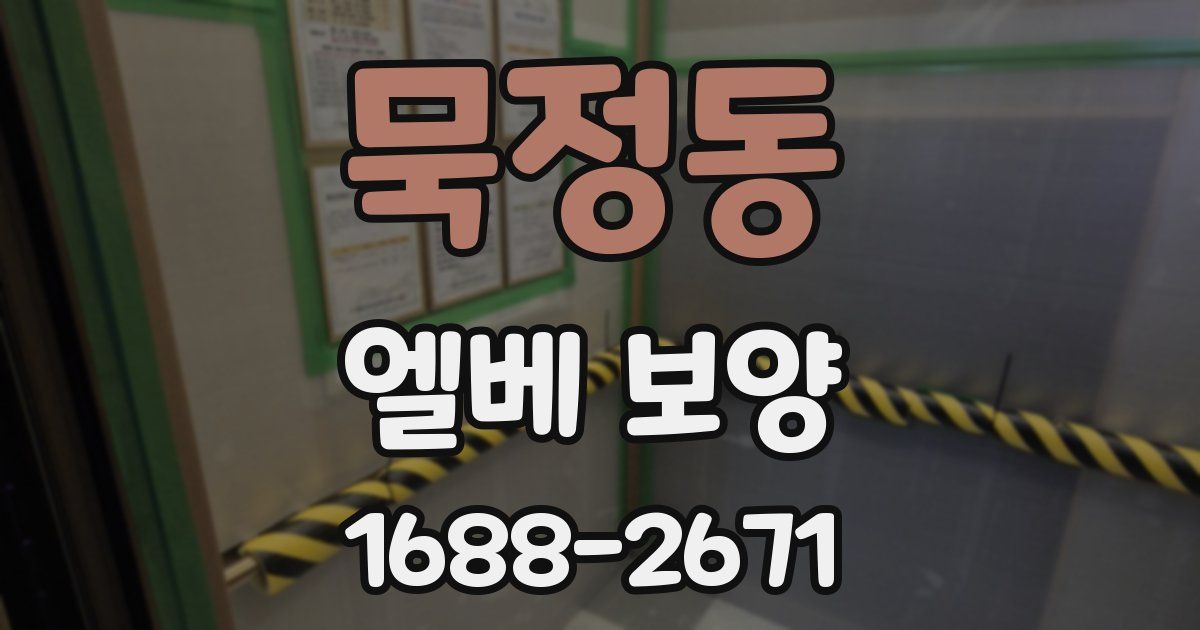 묵정동 엘베 보양