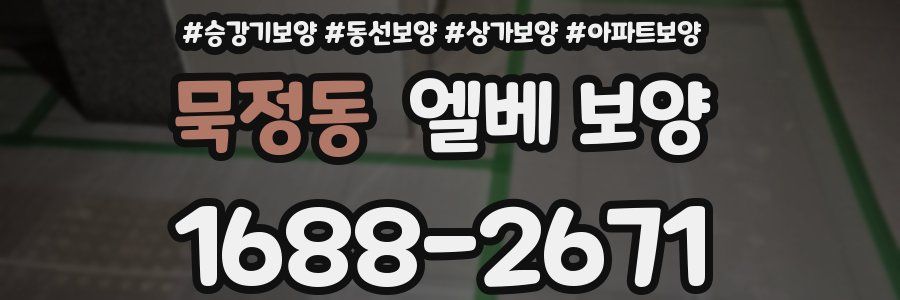 묵정동 엘베 보양