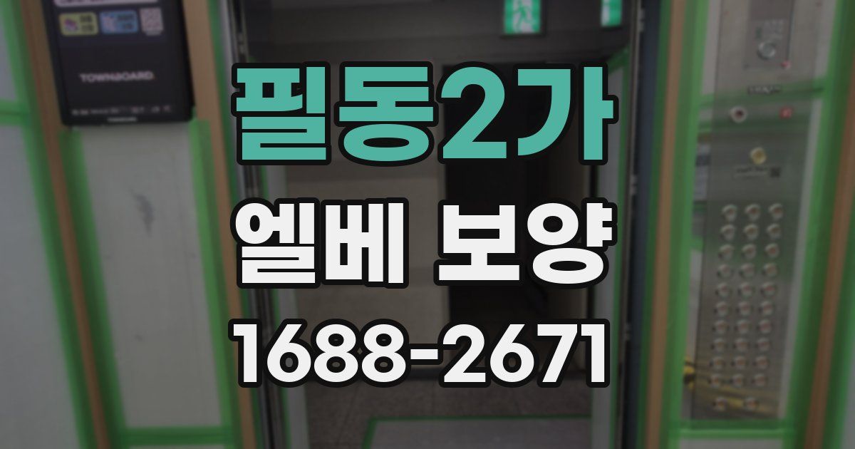 필동2가 엘베 보양