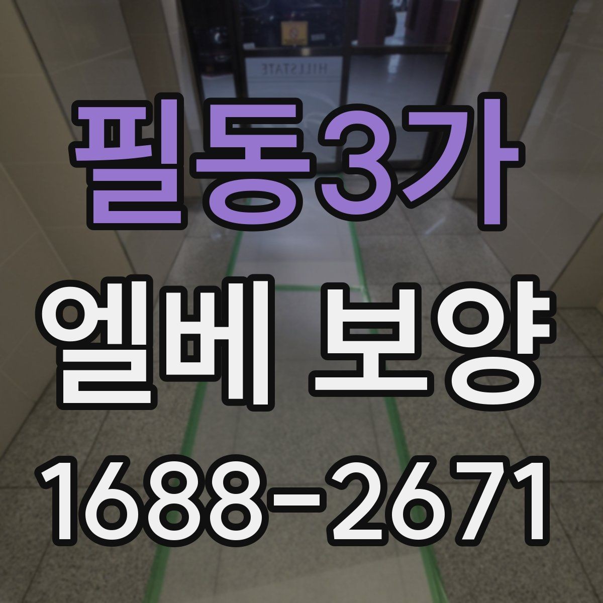 필동3가 엘베 보양 계절마다 달라지는 현장 체크포인트