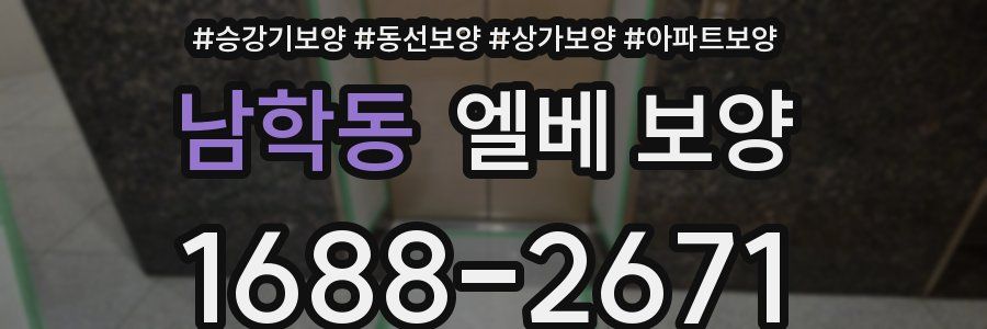 남학동 엘베 보양