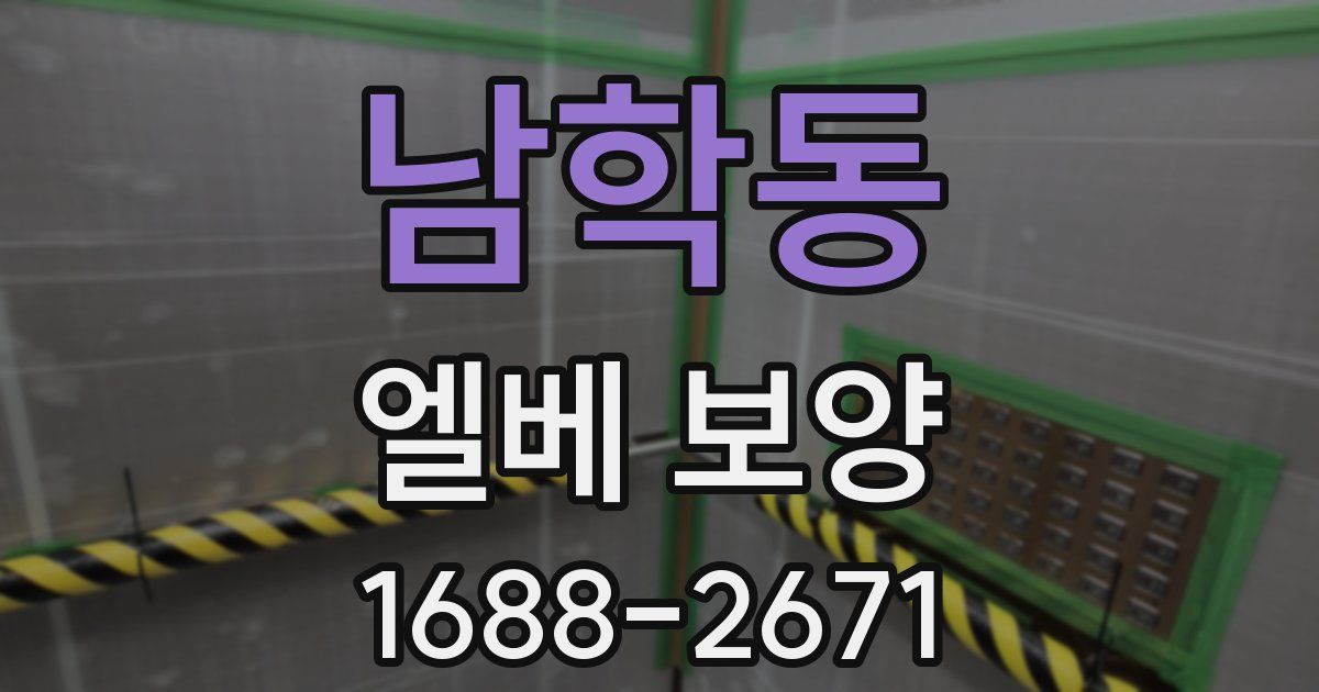 남학동 엘베 보양