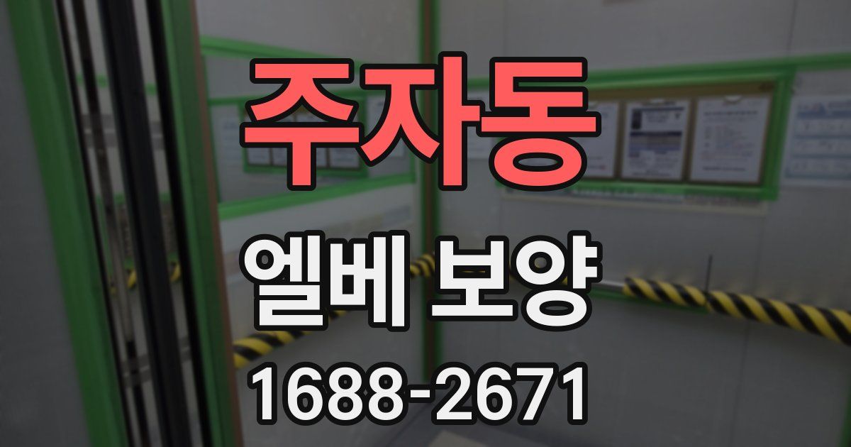 주자동 엘베 보양