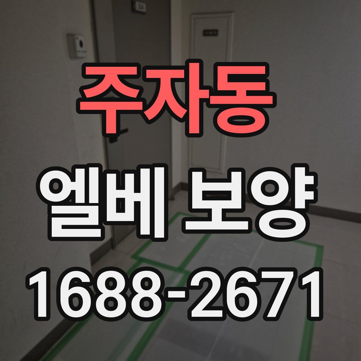 주자동 엘베 보양