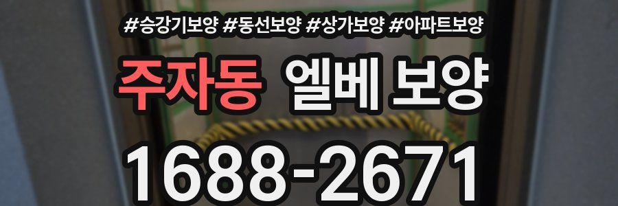 주자동 엘베 보양