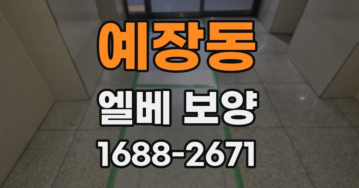 예장동 엘베 보양