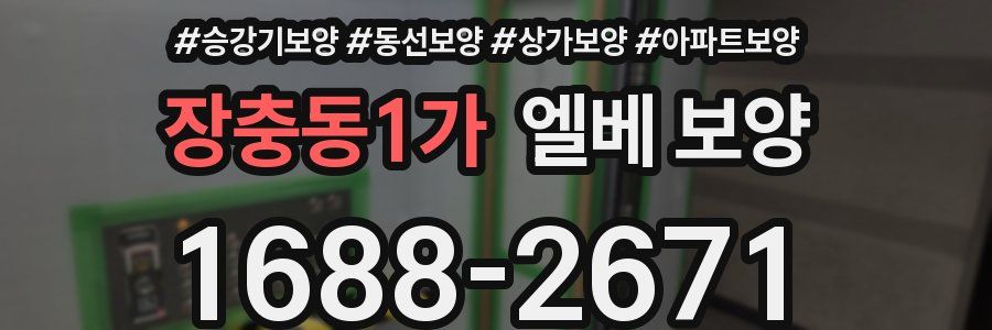 장충동1가 엘베 보양