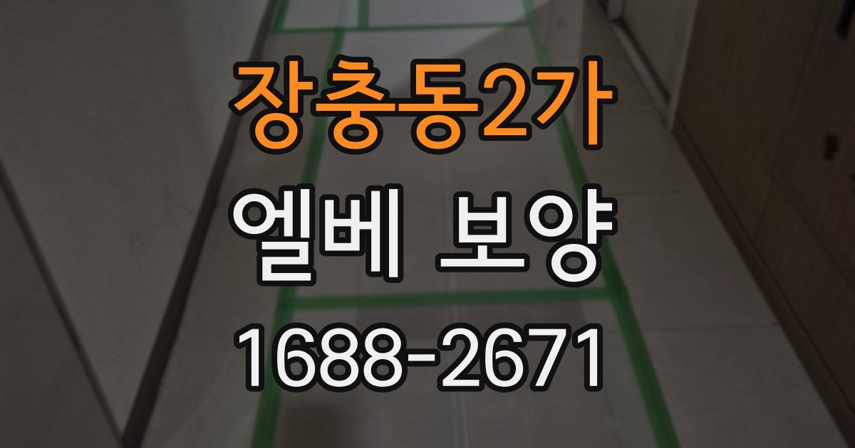 장충동2가 엘베 보양