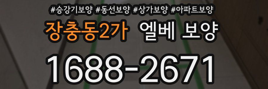장충동2가 엘베 보양