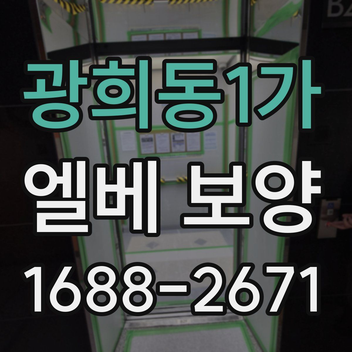광희동1가 엘베 보양