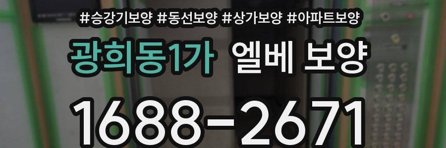 광희동1가 엘베 보양