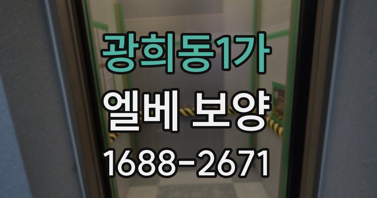 광희동1가 엘베 보양