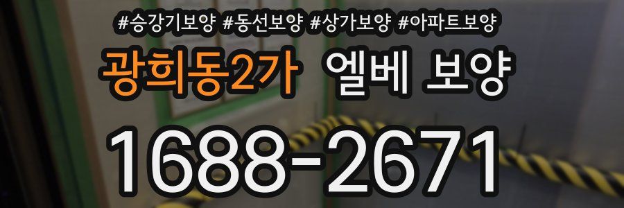 광희동2가 엘베 보양