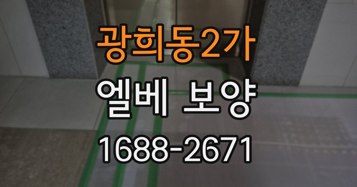 광희동2가 엘베 보양