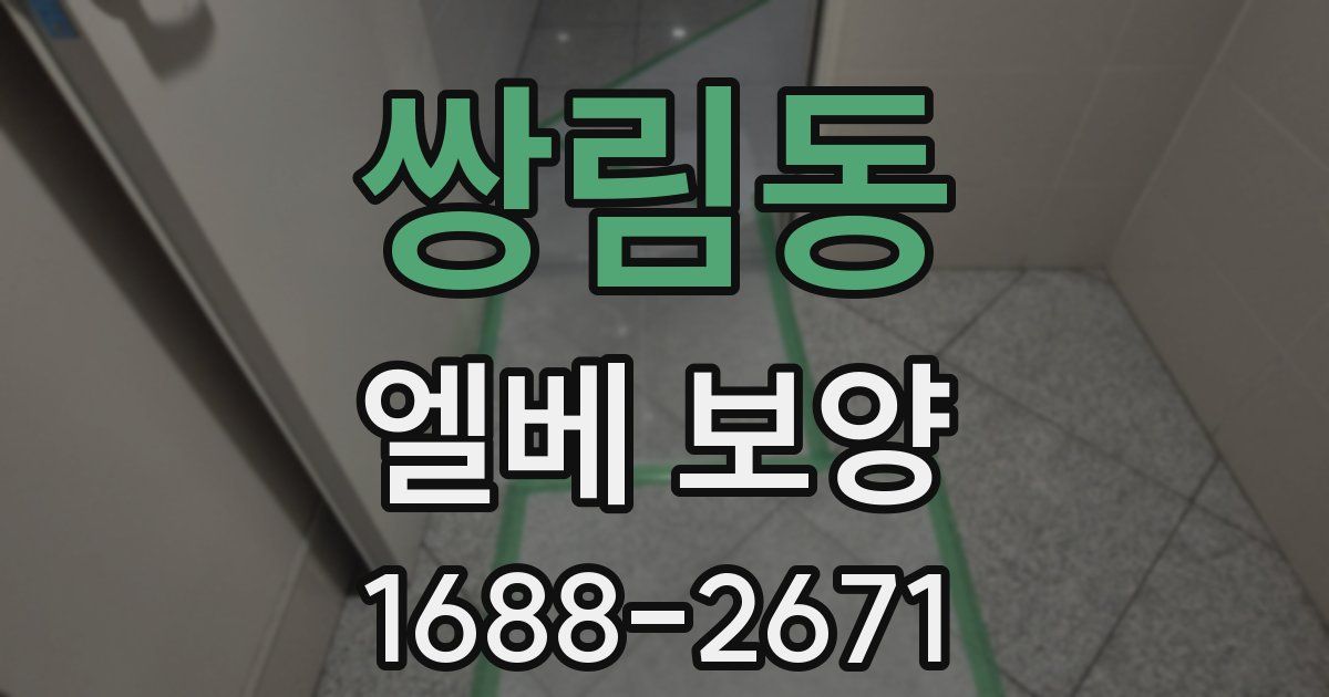 쌍림동 엘베 보양