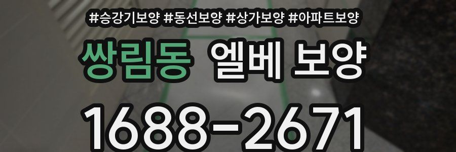 쌍림동 엘베 보양