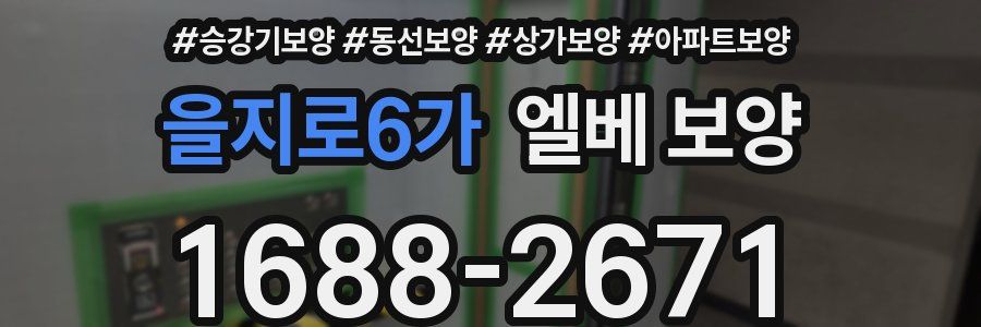 을지로6가 엘베 보양